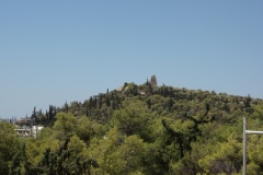 DSC06470