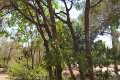 IMG_20220811_153430