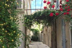 Rue-fleuri-St-Remy