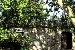 Rues-Saint-Remy-de-Provence-22