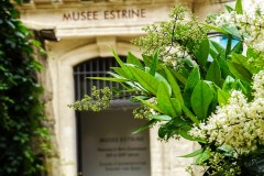 Rues-Saint-Remy-de-Provence-3