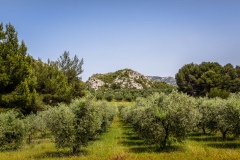 ©Studio_Julius_pro_tour_alpilles_caisses_jean_0009_col
