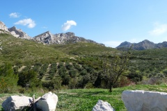 Paysages-des-Alpilles-Credit-Photo-PNRA-1