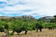 Paysages-des-Alpilles-Credit-Photo-PNRA-12