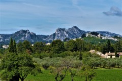 Paysages-des-Alpilles-Credit-Photo-R-SERANGE-4