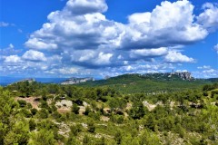 Paysages-des-Alpilles-Credit-Photo-R-SERRANGE-11