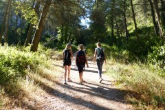 Paysages-des-Alpilles-Credit-Photo-R-SERRANGE-3