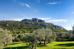 Paysages-des-Alpilles-Route-du-Destet-Photo-OTI-Alpilles-en-Provence