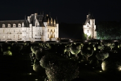 nocturne2014@DominiqueCOUINEAU