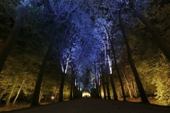 nocturnes3@Dominqiue-COUINEAU