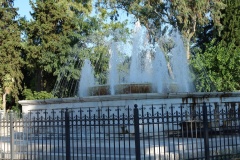 DSC06900