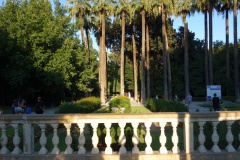 DSC06933