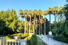 IMG20220812191814