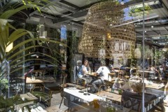 Bistrot_des_Alpilles_Restaurant6