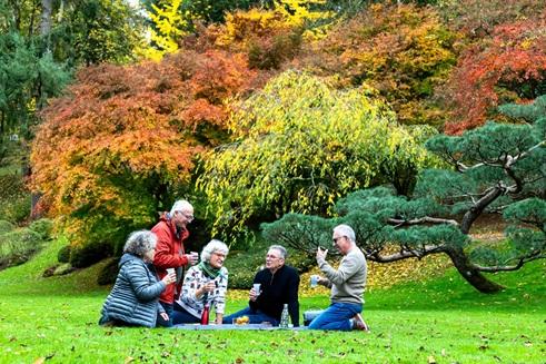 Pique-nique sous les couleurs d’automne