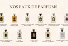 Présentation des onze eaux de parfum de La Sultane de Saba
