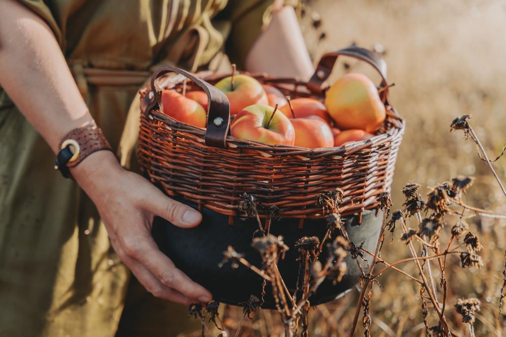 Panier et matières d’Aurélie Vannerie